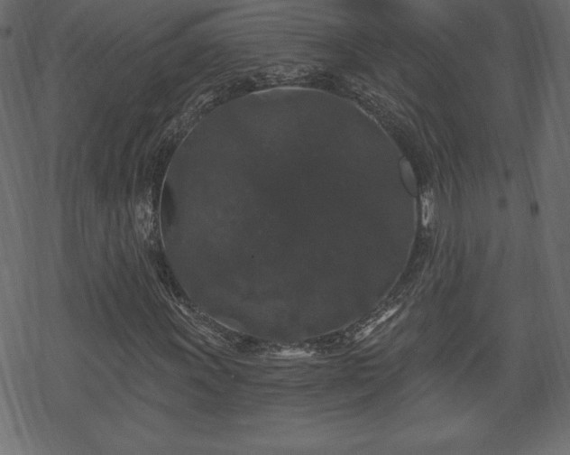 X0000070221011200605301425