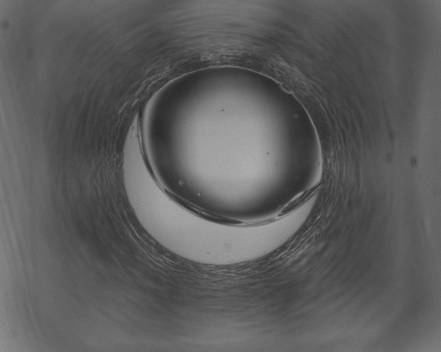 X0000070221012200605301425