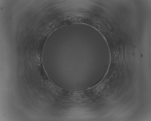 X0000070221013200605301425
