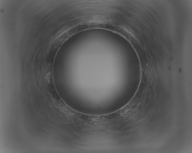 X0000070221015200605301425