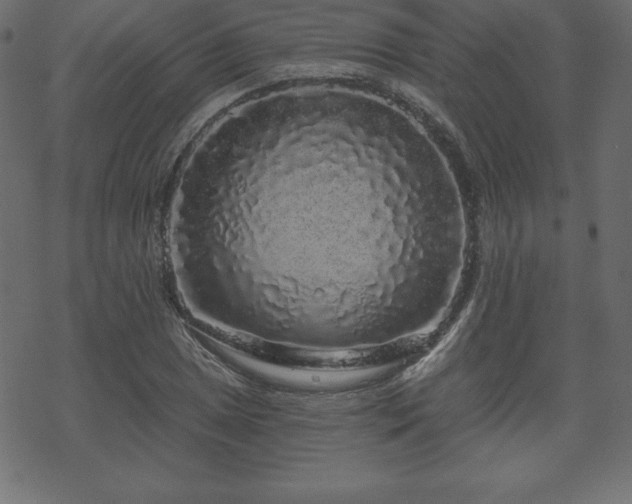 X0000070221025200605301425