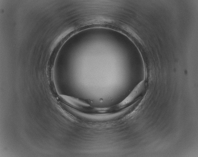 X0000070221026200605301425