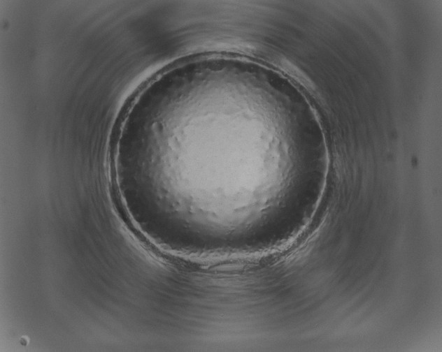 X0000070221028200605301425