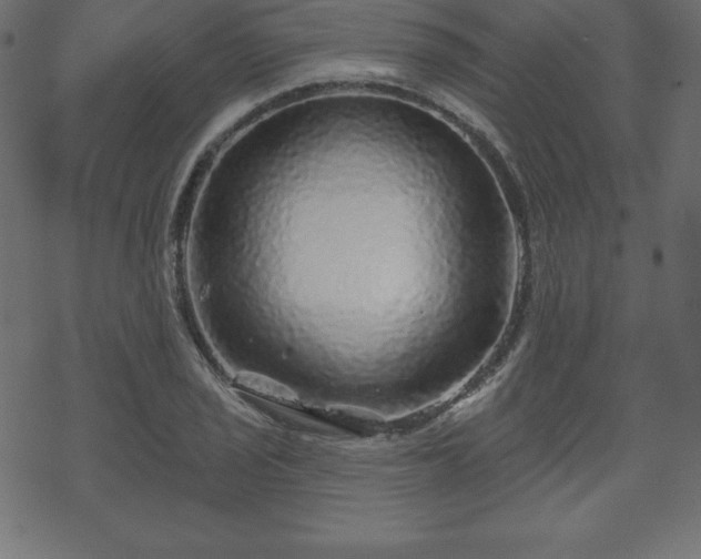 X0000070221029200605301425