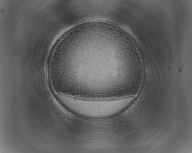 X0000070221032200605301425