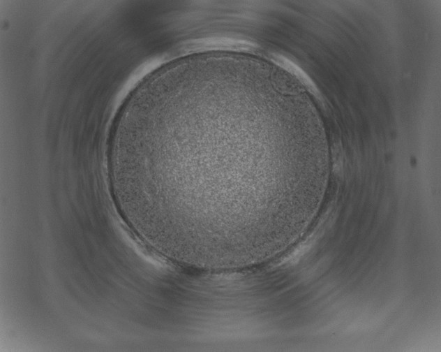 X0000070221043200605301426
