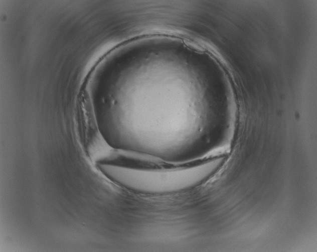 X0000070221048200605301426