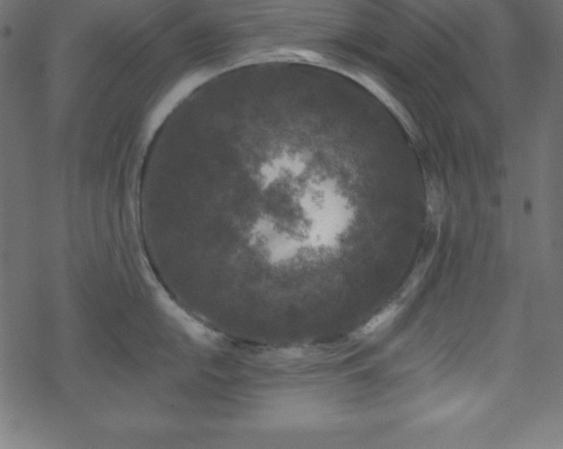 X0000070221054200605301426