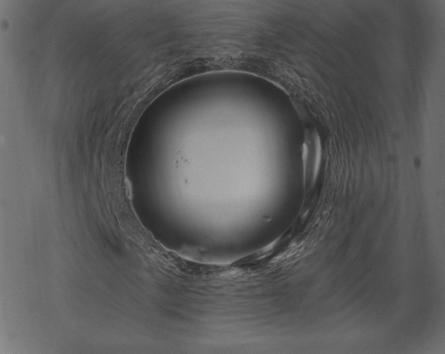 X0000070221057200605301425
