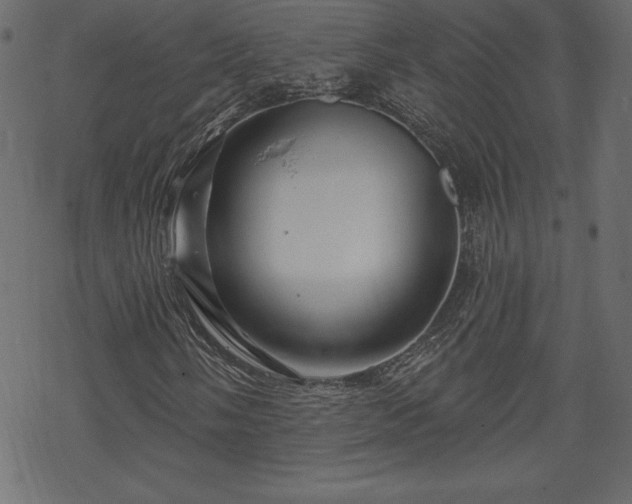 X0000070221058200605301425