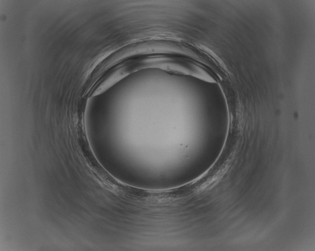 X0000070221065200605301425