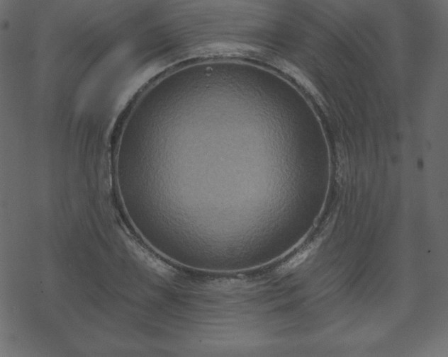 X0000070221075200605301425