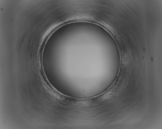 X0000070221078200605301425