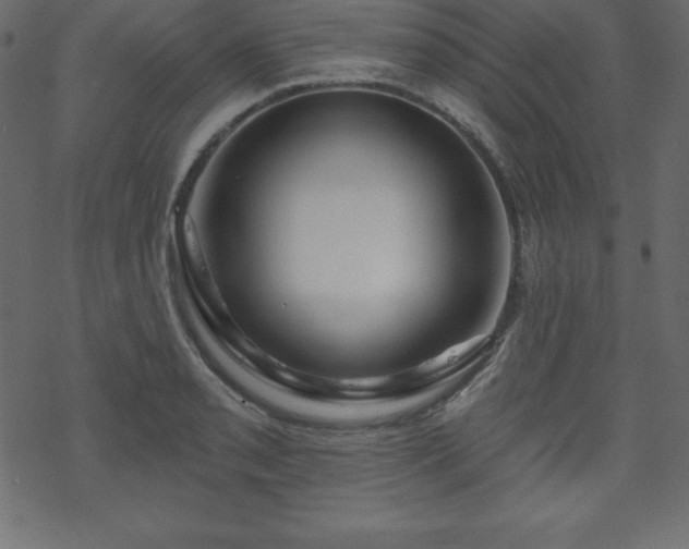 X0000070221085200605301425