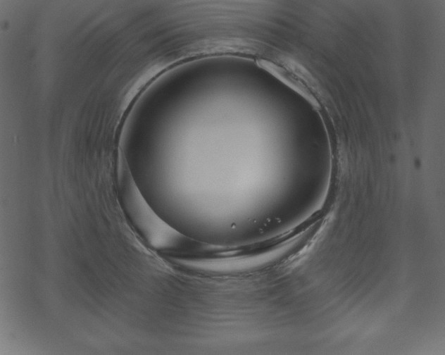 X0000070221089200605301425
