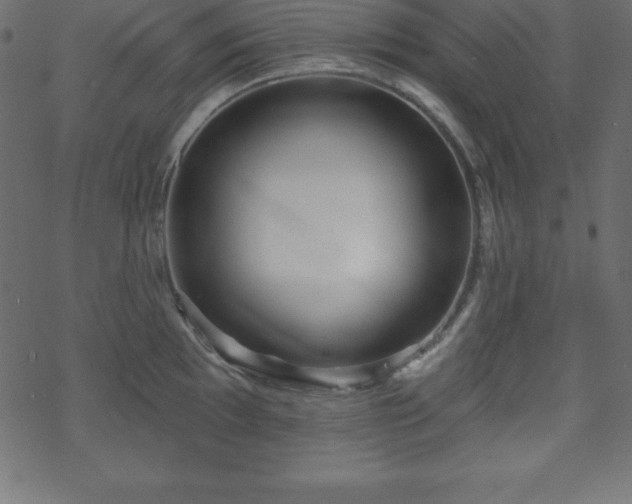 X0000070221097200605301424