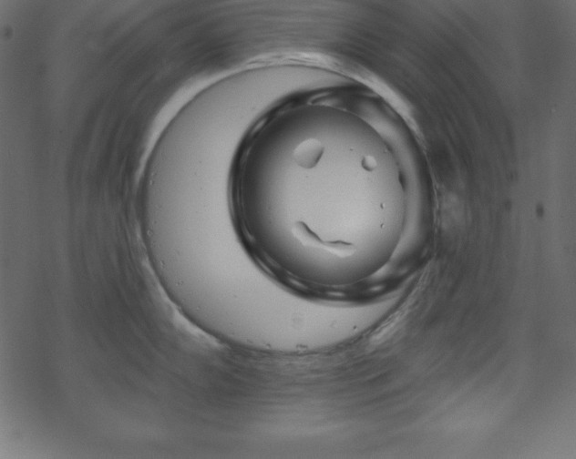 X0000070221102200605301424
