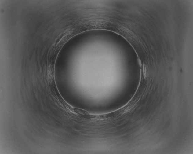 X0000070221107200605301424