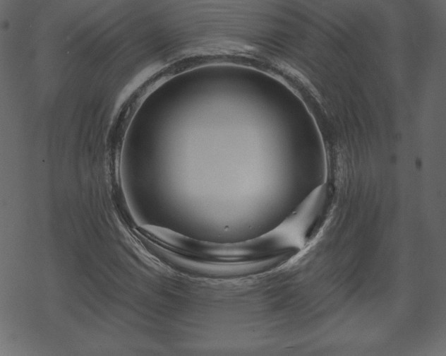 X0000070221114200605301424