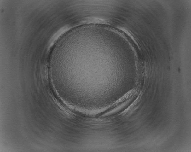X0000070221115200605301424