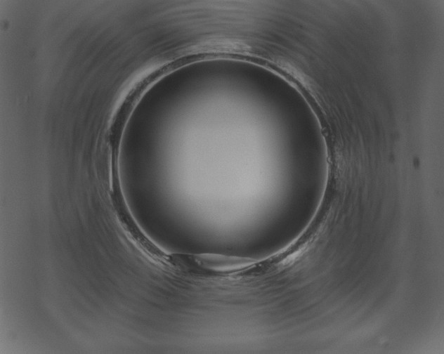 X0000070221123200605301424
