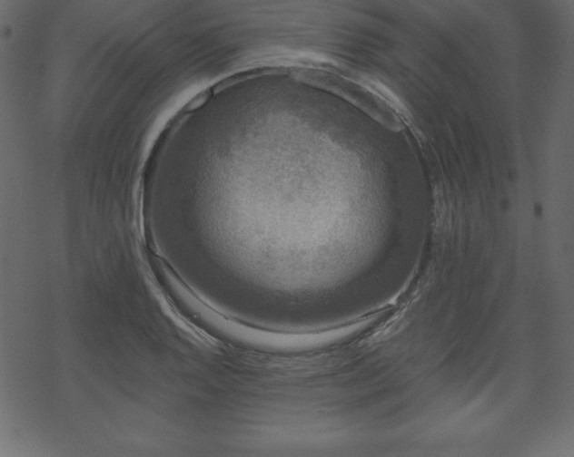 X0000070221128200605301424