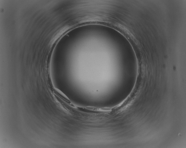 X0000070221129200605301424
