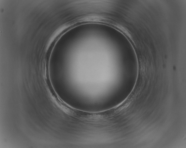 X0000070221131200605301424
