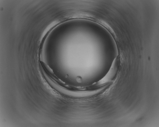 X0000070221138200605301424