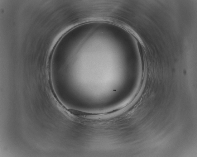 X0000070221148200605301424