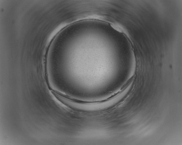 X0000070221151200605301424