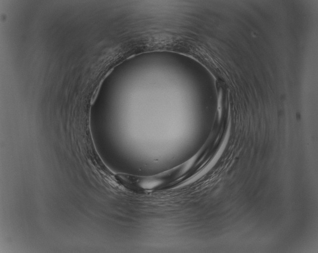 X0000070221153200605301423
