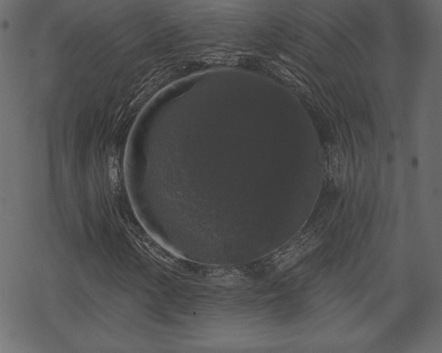 X0000070221154200605301423