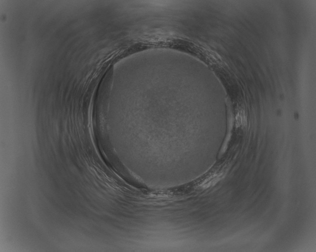 X0000070221156200605301423
