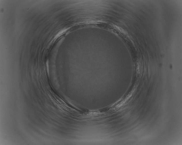 X0000070221161200605301423