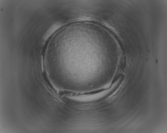 X0000070221171200605301423