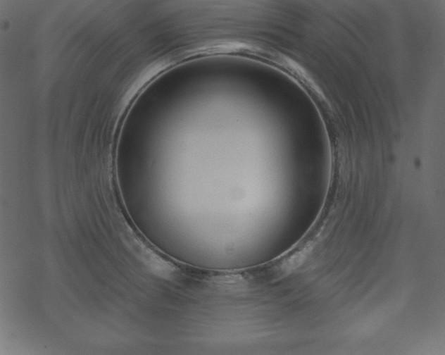 X0000070221186200605301423
