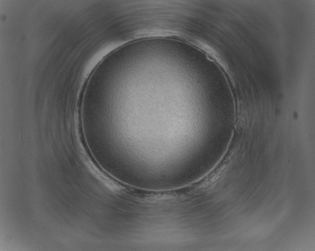 X0000070221187200605301423