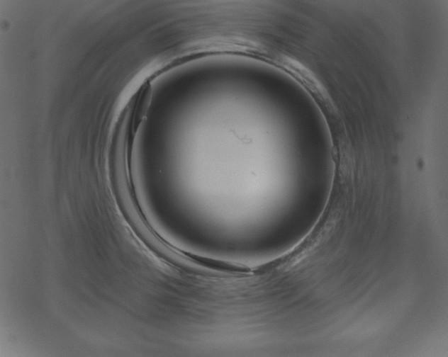 X0000070221188200605301423