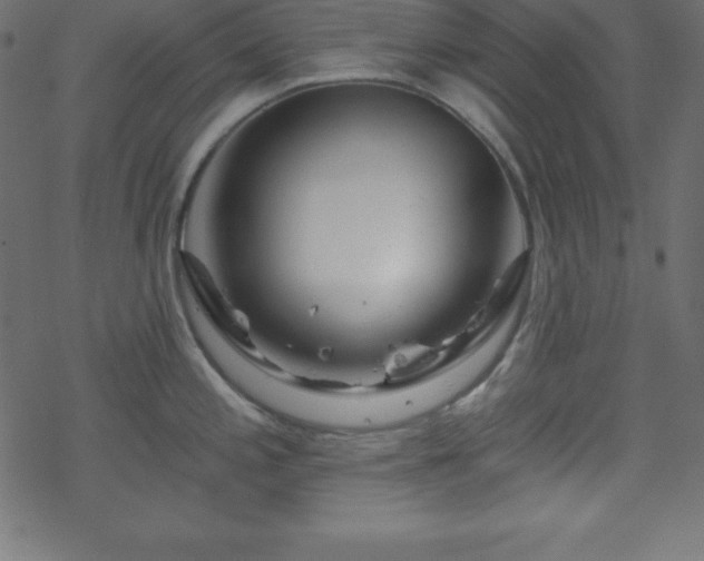 X0000070221197200605301423