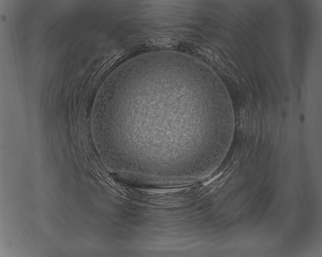 X0000070221201200605301422