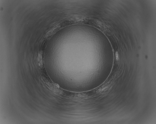 X0000070221203200605301422