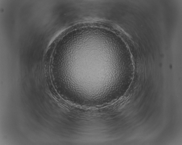 X0000070221208200605301422