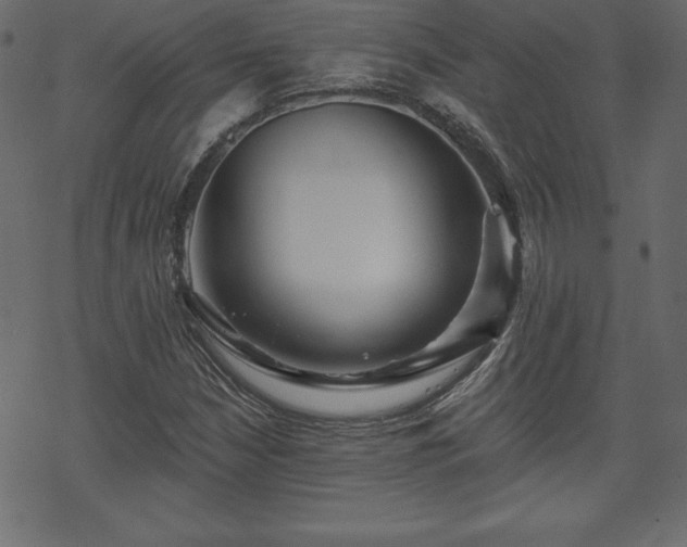 X0000070221210200605301422