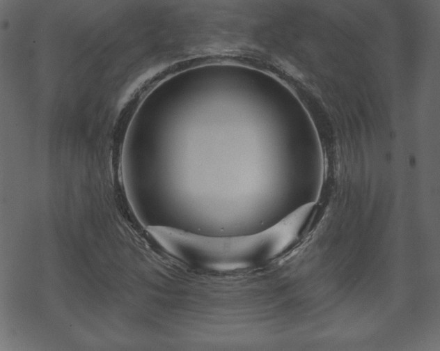 X0000070221214200605301422