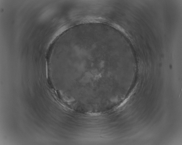 X0000070221219200605301422