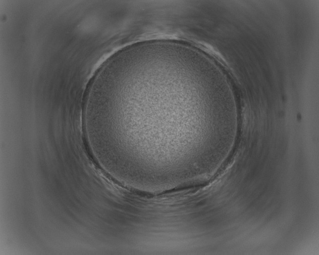 X0000070221220200605301422
