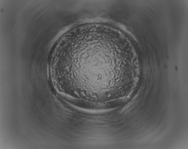 X0000070221221200605301422
