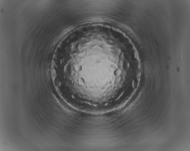 X0000070221225200605301422