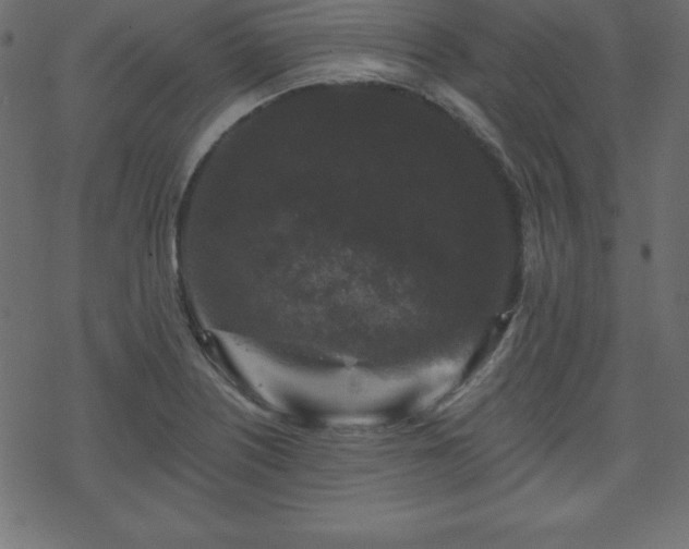 X0000070221226200605301422